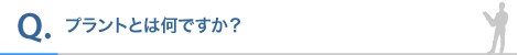プラントとは何ですか?